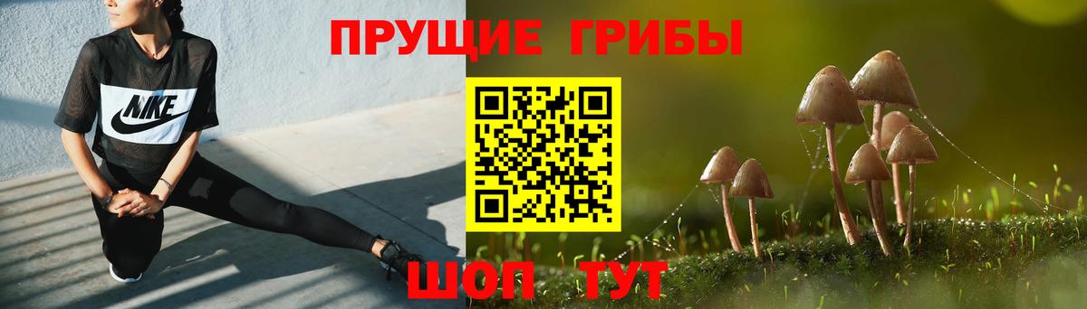 купить наркоту  Вход с VPN  Сыктывкар  Галлюциногенные грибы Magic Shrooms 